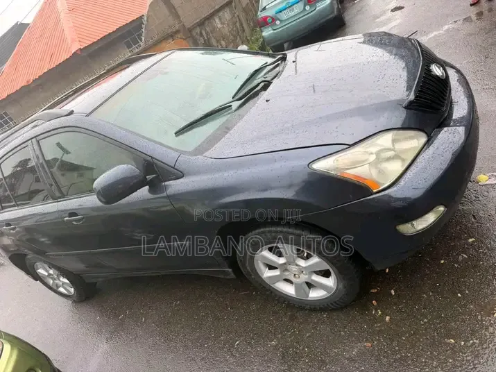 Lexus RX 2005 Blue