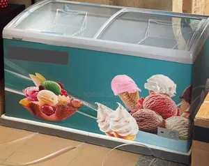 Brand New Snowsea Ice Cream Freezer