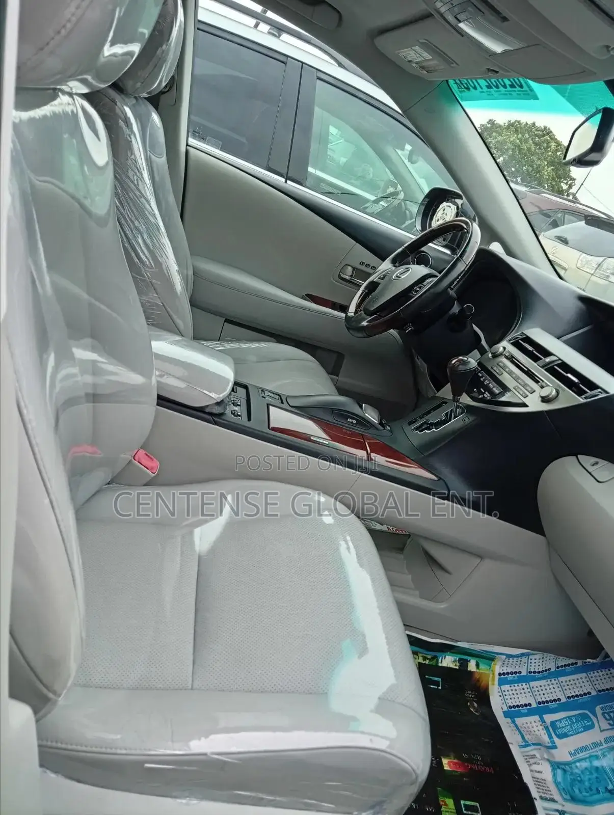Lexus RX 2010 Gray