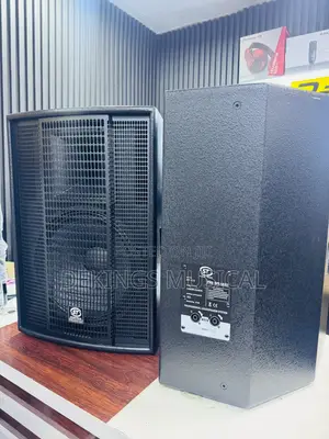 Sound Track SK215 Double 15-Inch Loudspeaker (Pair)