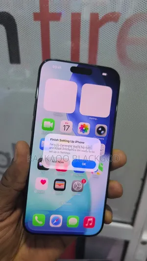 Apple iPhone 16 Pro Max 256 GB Gray