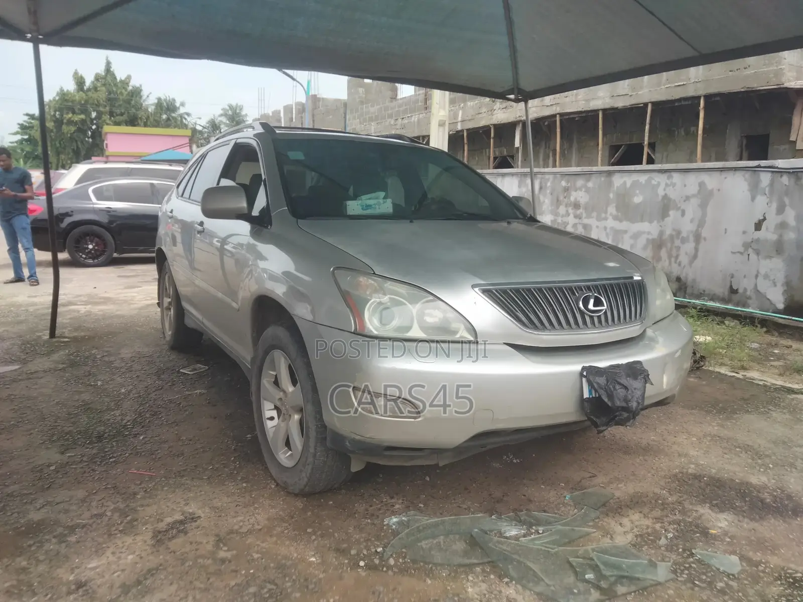 Lexus RX 2004 Silver
