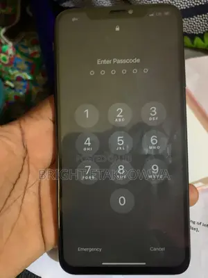Apple iPhone XS Max 256 GB Gray
