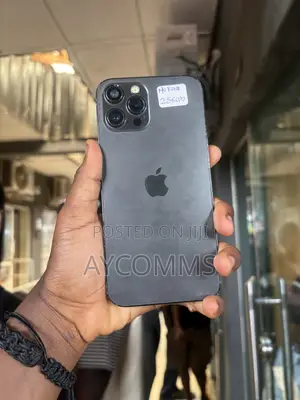Apple iPhone 12 Pro Max 256 GB Black