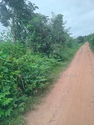 200 Acres at Ilaju