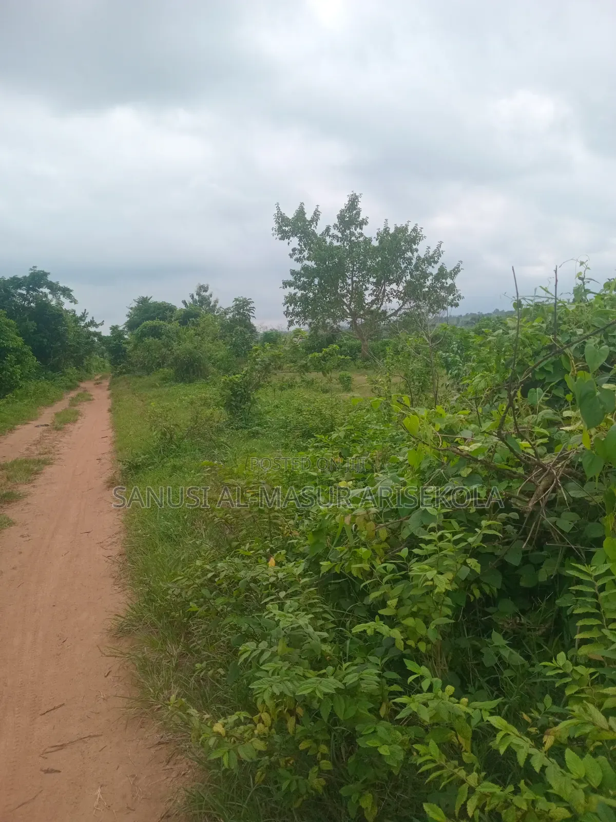 200 Acres at Ilaju