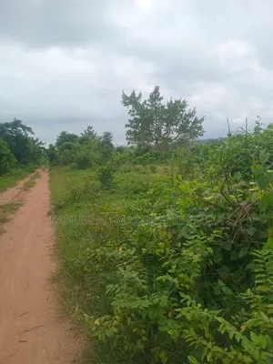 200 Acres at Ilaju