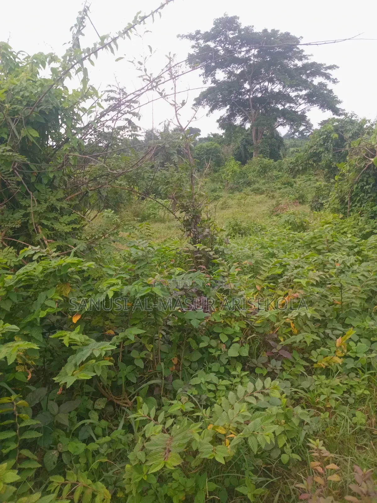 200 Acres at Ilaju