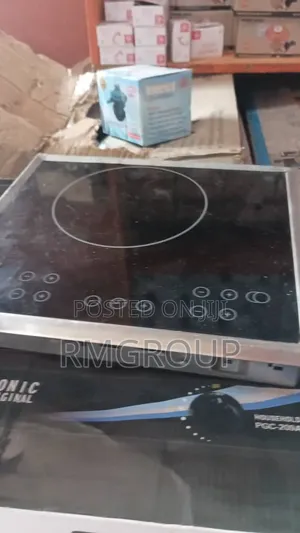 Electric Cooker Small