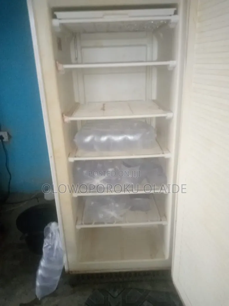 Standing Freezer