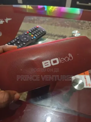 Bolead Speaker