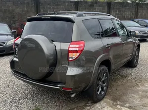 Toyota RAV4 2010 Brown