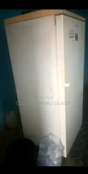 Standing Freezer