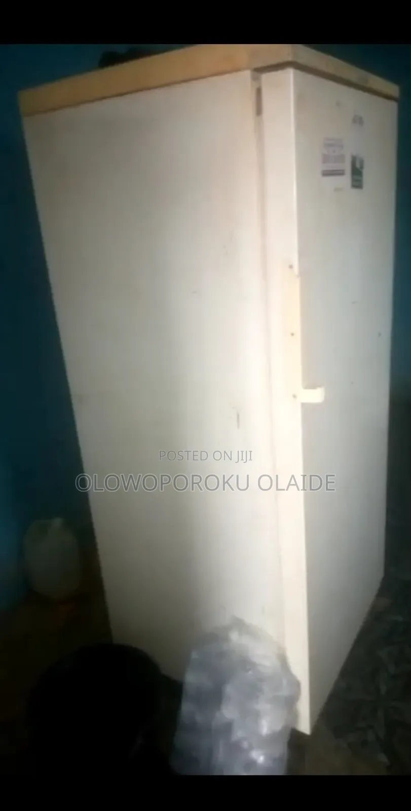Standing Freezer