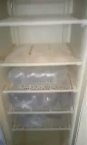 Standing Freezer