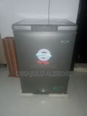 Haier Thermocool Chest Freezer