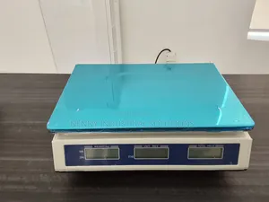 30Kg Weighing Machine - Weighing Scale