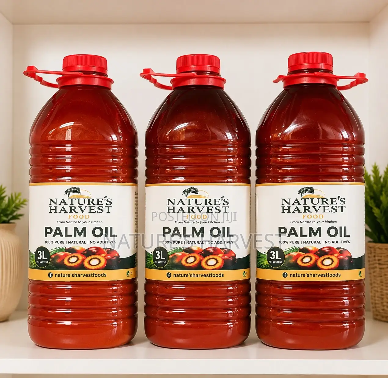 Premium Palm Oil