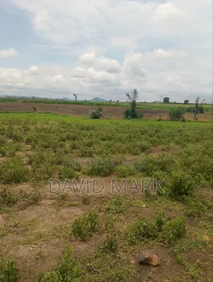 1 .5 Hectares of Land for Sale