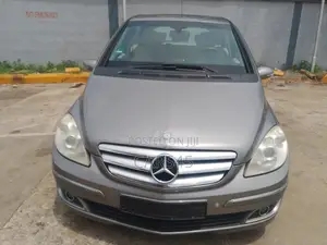 Mercedes-Benz B-Class 2010 Gray