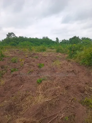 Fast Developed Farm