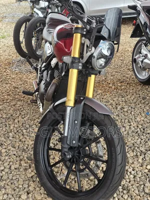 Triumph Bike 2024