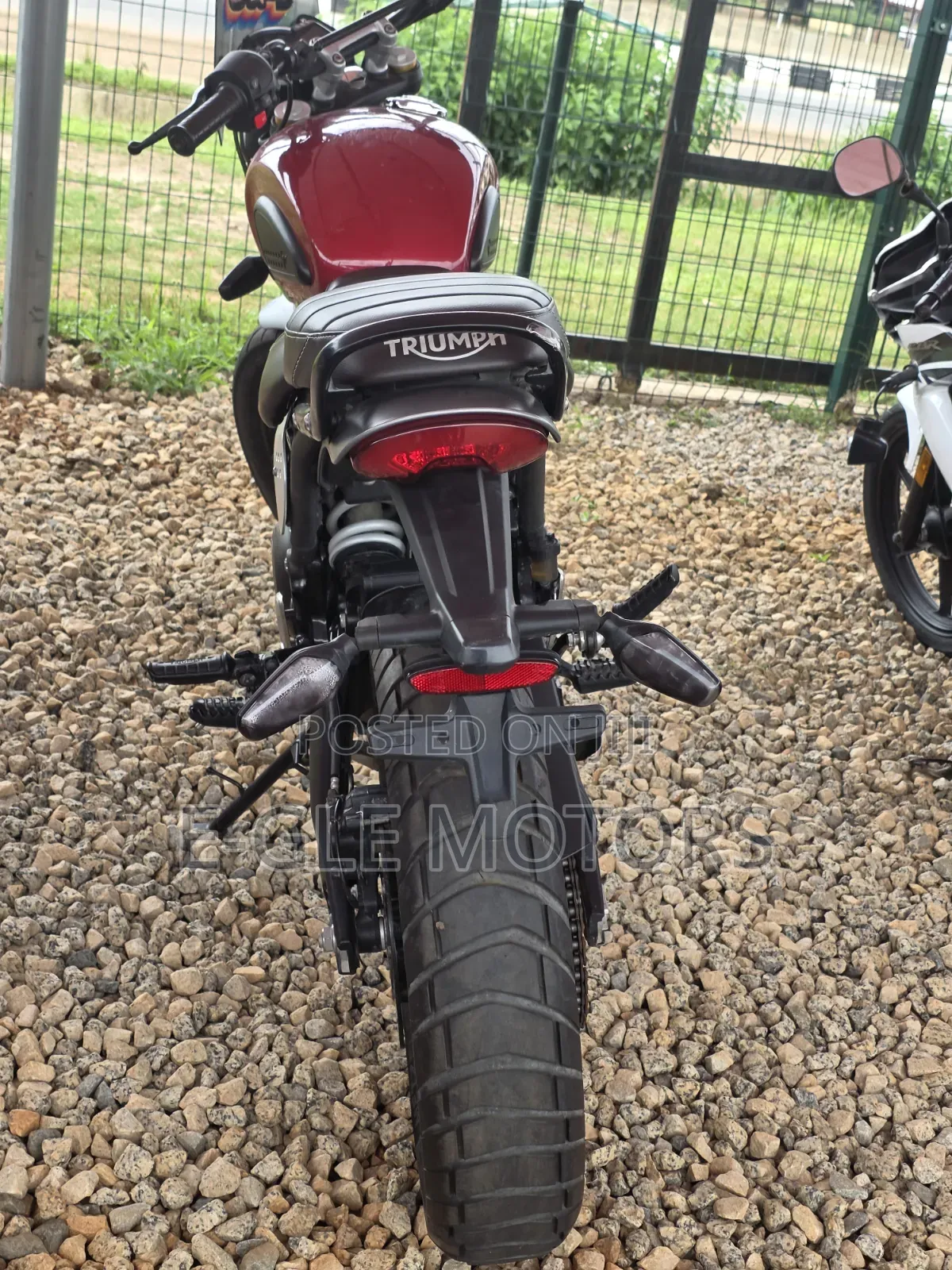 Triumph Bike 2024