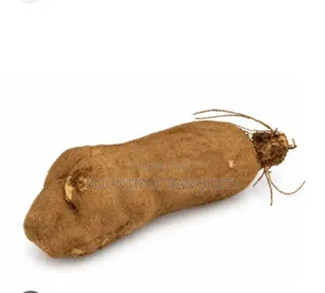 White Yam (1 Tuber)