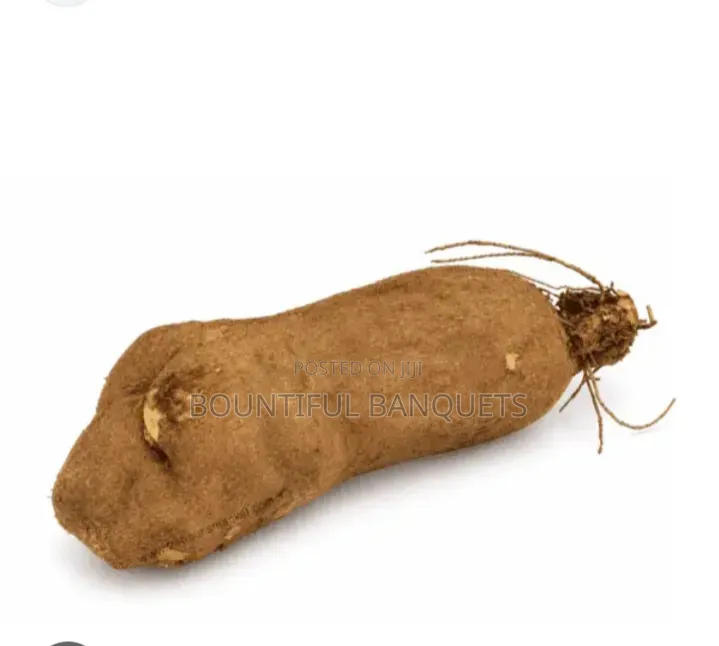 White Yam (1 Tuber)