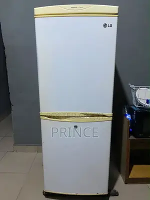 LG Refrigerator and Freezer