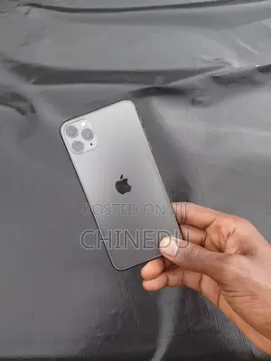 Apple iPhone 11 Pro Max 64 GB Gray