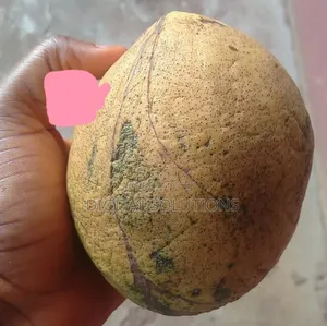 Ripe 12pcs Abere Fruit.