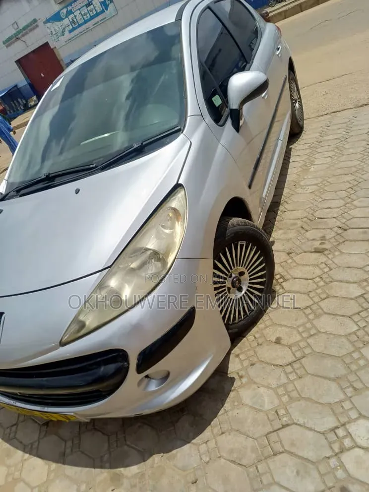 Peugeot 207 2005 Silver