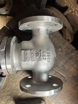Stainless Non Return Valve