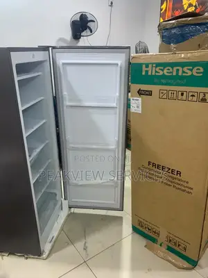 Hisense Large Capacity Upright Freezer for Restaurants