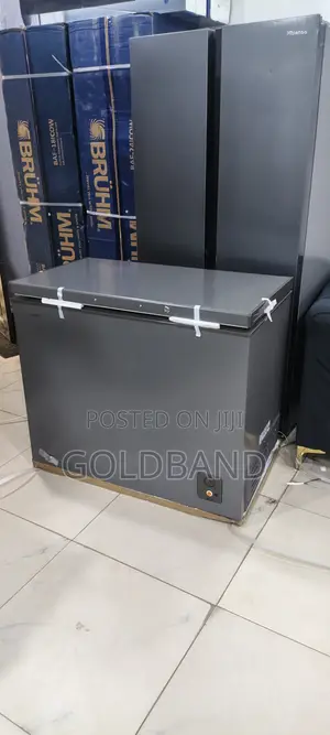 Hisense 340SH Deep Freezer for Families