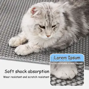 Double-Layer Waterproof Cat Litter Mat (55cm X 75cm)