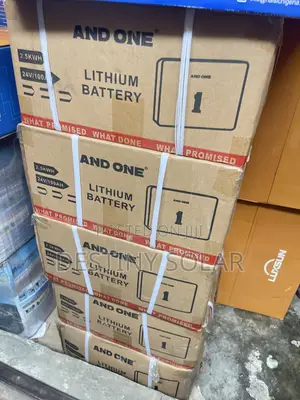 2.5kwh Lithium Ion Battery AND ONE VERY STRONG BATTLE 5 Years Warranty