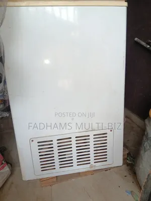 Haier Thermocool Freezer