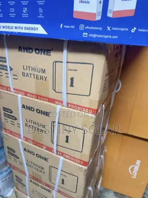 2.5kwh and One Lithium Ion Battery Very Strong Battery