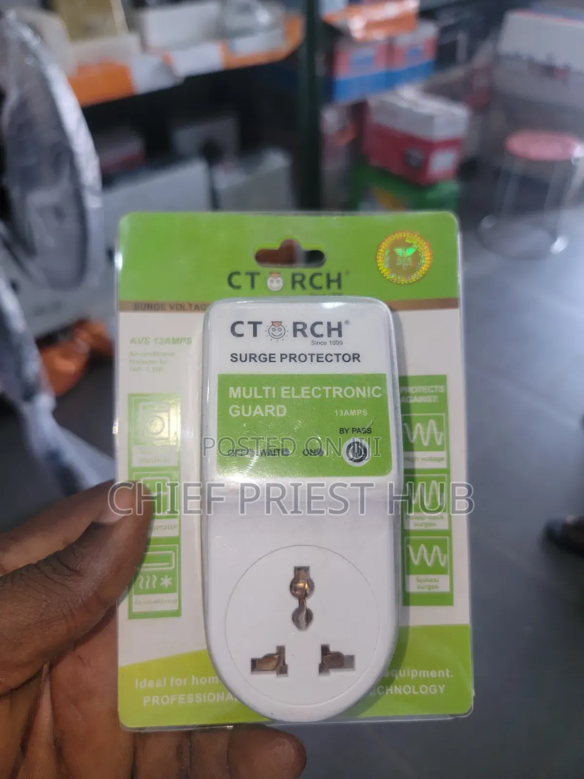 Electronic Voltage Regulator Guard