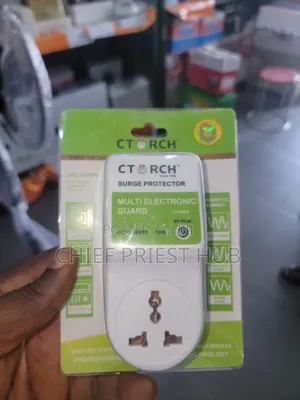 Electronic Voltage Regulator Guard