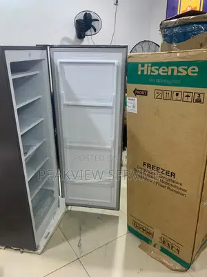 Hisense RS189DR New Arrival Standing Freezer
