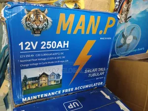 MAN.P 250Ah Tall Tubular Battery