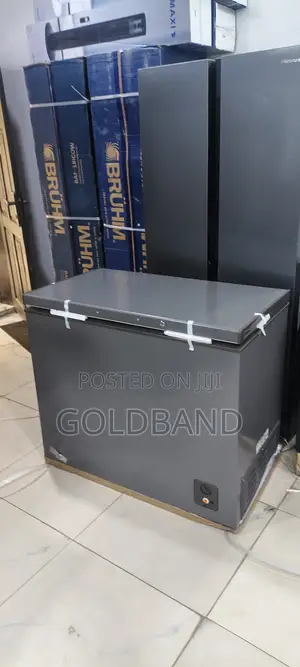 Hisense 250L Freezer for Home Business