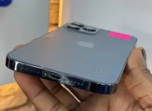Apple iPhone 12 Pro Max 256 GB Blue