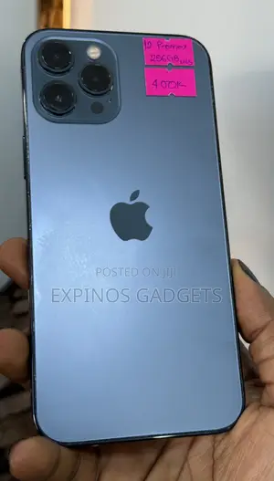 Apple iPhone 12 Pro Max 256 GB Blue