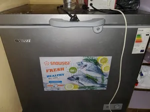 Snowsea Chest Freezer 258