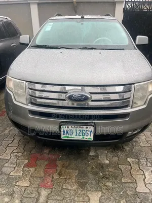Ford Edge 2009 Gray