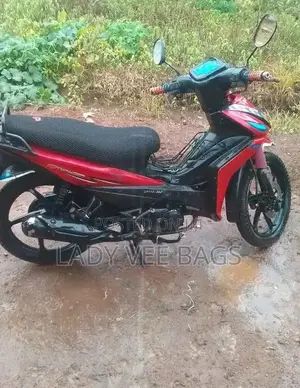 Lady's Bike